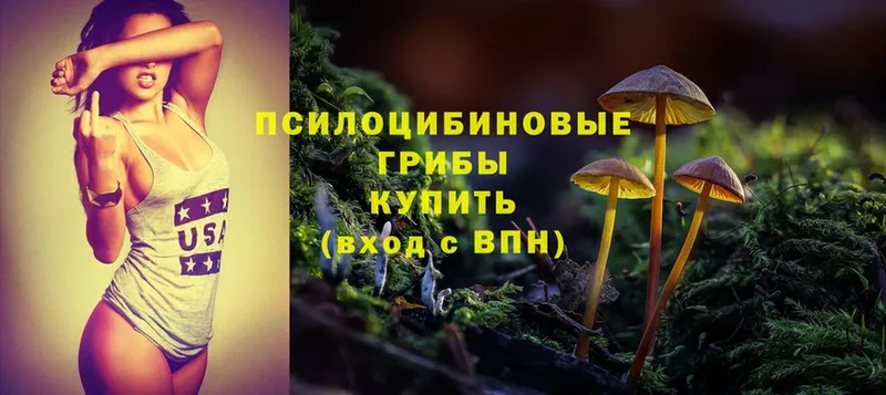 Псилоцибиновые грибы Psilocybe  как найти наркотики  Кировград 